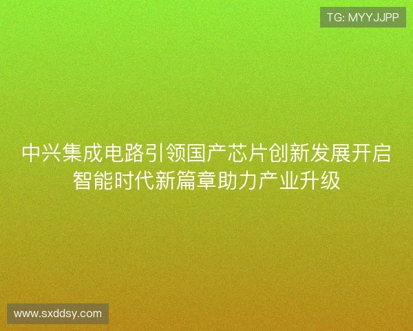 中兴集成电路引领国产芯片创新发展开启智能时代新篇章助力产业升级 中兴集成电路引领国产芯片创新发展开启智能时代新篇章助力产业升级